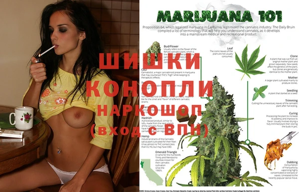 дмт Армянск