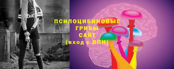дмт Армянск