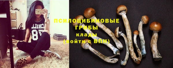 каннабис Аркадак