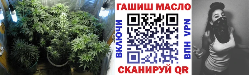 купить закладку  Бабаево  Дистиллят ТГК гашишное масло 