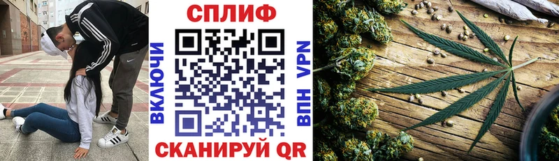 маркетплейс как зайти  Бабаево  Бошки марихуана конопля  где купить наркотик 